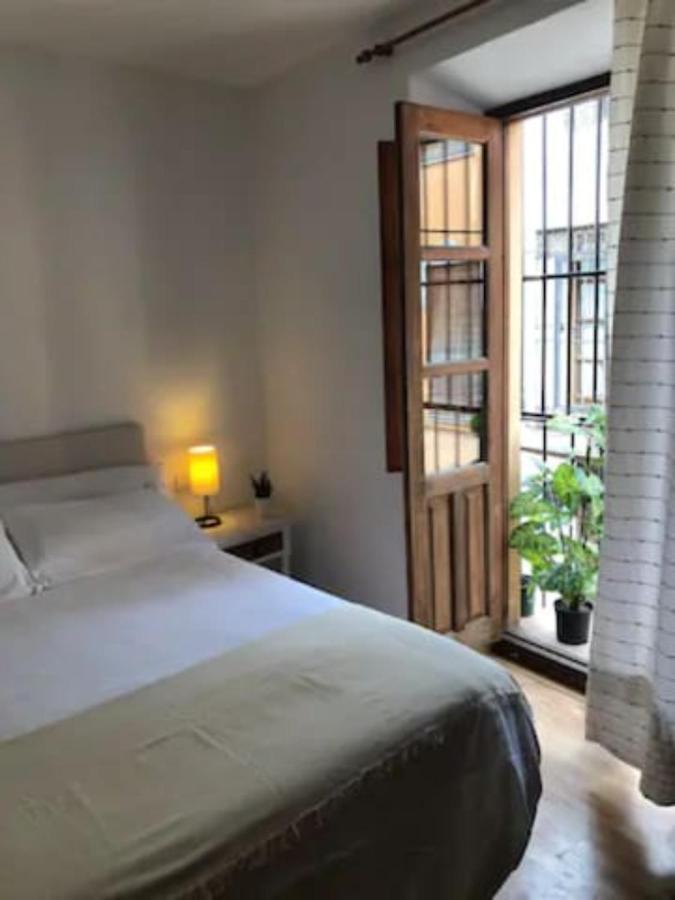Apartamento Completo Reformado En Arco De Elvira - Centro غرناطة المظهر الخارجي الصورة